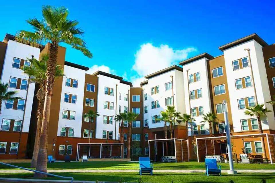 Modern apartment exterior with palm trees and reflective replacement windows under a bright Texas sky
